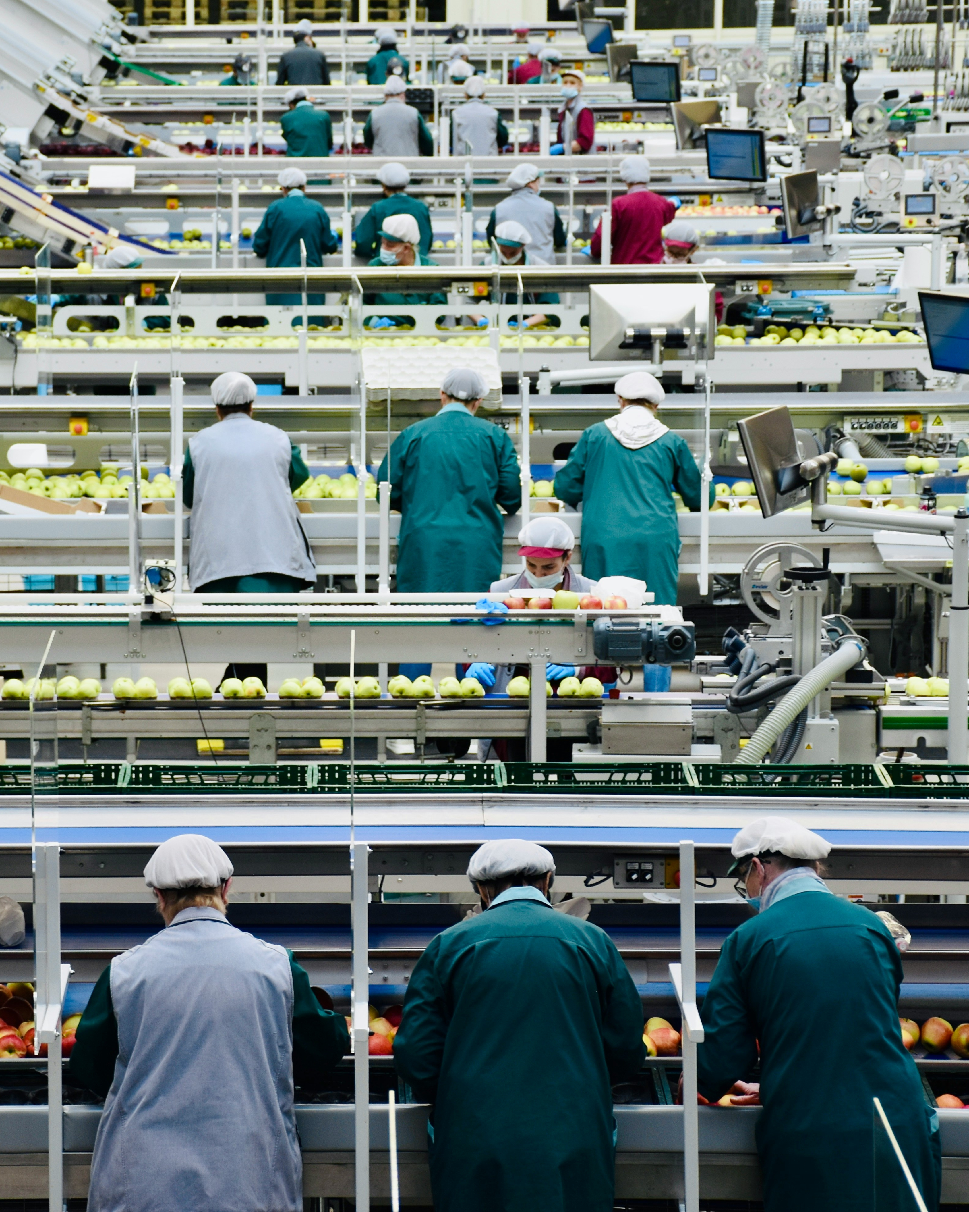 Food & Beverage processing